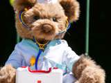 Nurse Bear